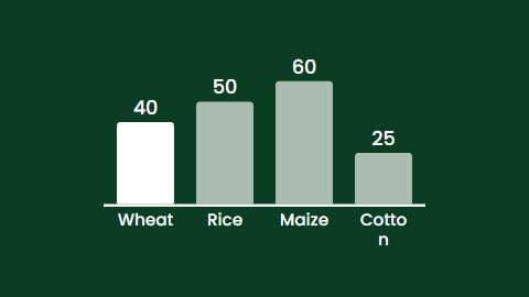 Crop Yield Comparison preview