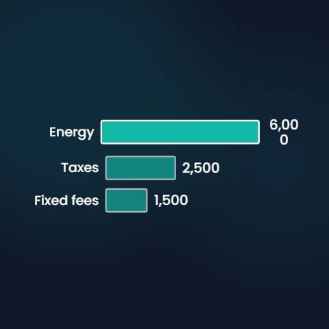 بجلی کے بل کی تقسیم preview