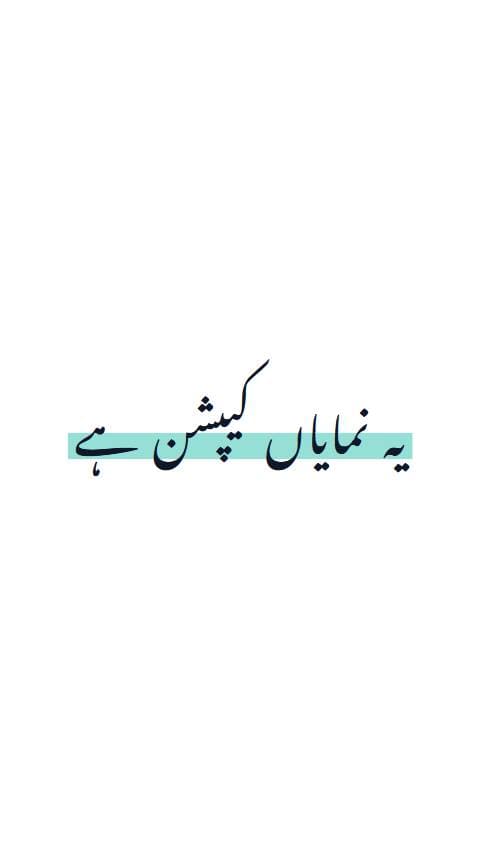 Nastaliq Caption Styles preview