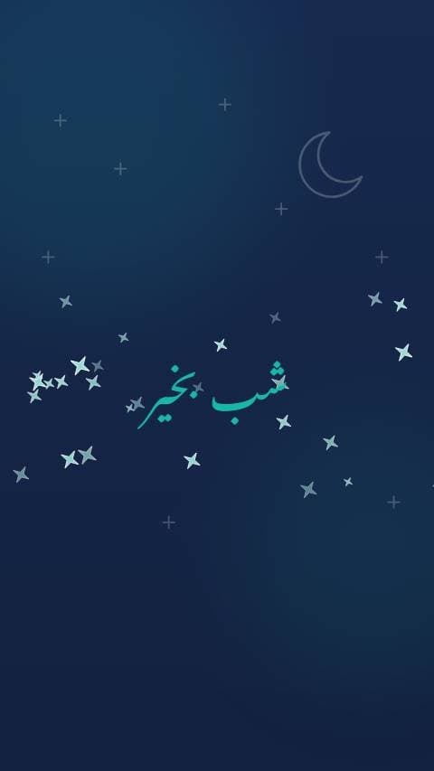 شب بخیر، ستاروں کے ساتھ preview